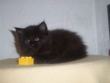 Curtis am 14.01.2007 Bild 47