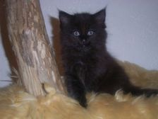 Curtis am 21.01.2007 Bild 62