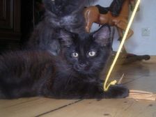 Curtis am 04.03.2007 Bild 114