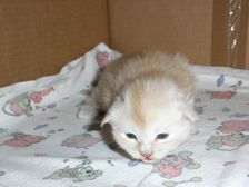 Eddie am 02.12.2008 Bild 9