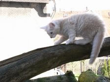 Eddie am 20.01.2009 Bild 65