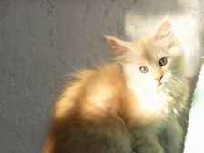 Eddie am 25.01.2009 Bild 70