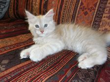 Eddie am 25.01.2009 Bild 72