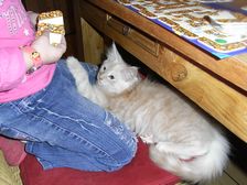 Eddie am 09.02.2009 Bild 101