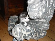 Emma am 04.01.2009 Bild 34