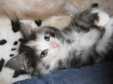 Emma am 14.01.2009 Bild 46