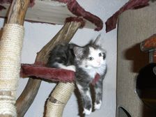 Emma am 25.01.2009 Bild 55