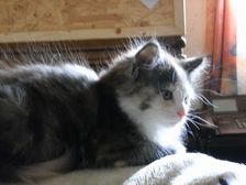 Emma am 29.01.2009 Bild 59