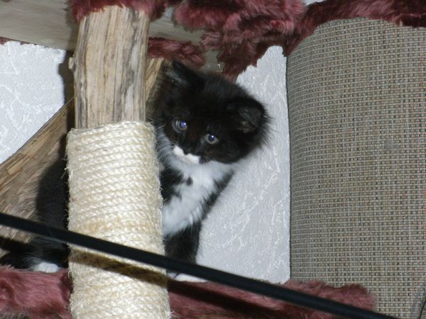 Undercover-Coon´s Evita Bild 42