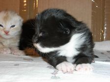 Evita am 28.11.2008 Bild 6