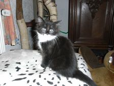 Evita am 29.01.2009 Bild 66