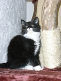 Evita am 29.01.2009 Bild 73