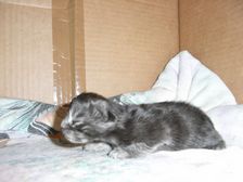 Flo am 08.03.2009 Bild 2 Flo am 08.03.2009 Bild 2