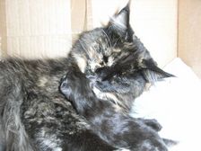 Flo am 08.03.2009 Bild 3 Flo am 08.03.2009 Bild 3