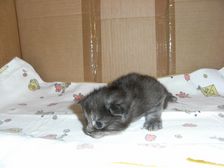 Flo am 21.03.2009 Bild 13 Flo am 21.03.2009 Bild 13