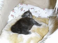 Flo am 24.03.2009 Bild 23 Flo am 24.03.2009 Bild 23