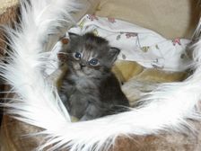 Flo am 24.03.2009 Bild 25 Flo am 24.03.2009 Bild 25