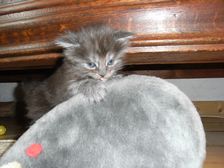 Flo am 31.03.2009 Bild 48 Flo am 31.03.2009 Bild 48