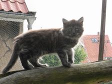 Flo am 07.05.2009 Bild 88 Flo am 07.05.2009 Bild 88