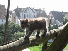 Flo am 07.05.2009 Bild 91 Flo am 07.05.2009 Bild 91