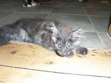 Flo am 01.06.2009 Bild 99 Flo am 01.06.2009 Bild 99