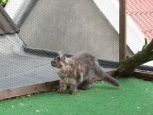 Flo am 08.06.2009 Bild 100 Flo am 08.06.2009 Bild 100