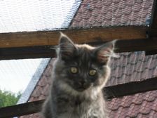 Flo am 08.06.2009 Bild 104 Flo am 08.06.2009 Bild 104