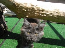 Flo am 08.06.2009 Bild 108 Flo am 08.06.2009 Bild 108