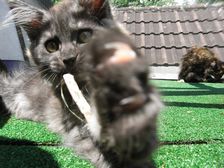 Flo am 08.06.2009 Bild 109 Flo am 08.06.2009 Bild 109