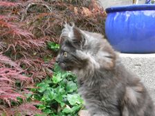 Flo am 09.06.2009 Bild 113 Flo am 09.06.2009 Bild 113