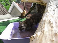 Flo am 13.06.2009 Bild 118 Flo am 13.06.2009 Bild 118