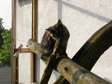 Flo am 17.06.2009 Bild 133 Flo am 17.06.2009 Bild 133