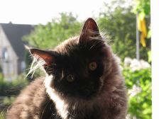 Flo am 26.06.2009 Bild 139 Flo am 26.06.2009 Bild 139