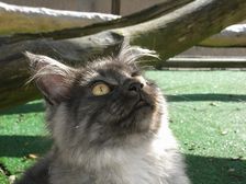 Flo am 14.07.2009 Bild 155 Flo am 14.07.2009 Bild 155