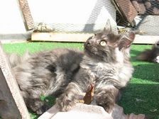 Flo am 14.07.2009 Bild 159 Flo am 14.07.2009 Bild 159