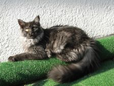 Flo am 14.08.2009 Bild 194 Flo am 14.08.2009 Bild 194