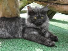 Flo am 14.08.2009 Bild 199 Flo am 14.08.2009 Bild 199