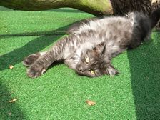 Flo am 14.08.2009 Bild 203 Flo am 14.08.2009 Bild 203