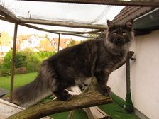 Flo am 25.08.2009 Bild 215 Flo am 25.08.2009 Bild 215