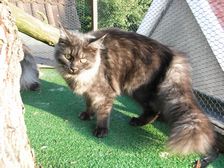 Flo am 18.09.2009 Bild 220 Flo am 18.09.2009 Bild 220