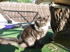 Flo am 26.09.2009 Bild 227 Flo am 26.09.2009 Bild 227