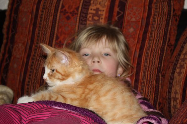 Undercover-Coon´s Garfield Bild 49
