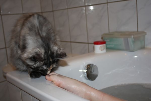 Undercover-Coon´s Girly Bild 97
