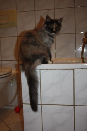 Undercover-Coon´s Girly Bild 99