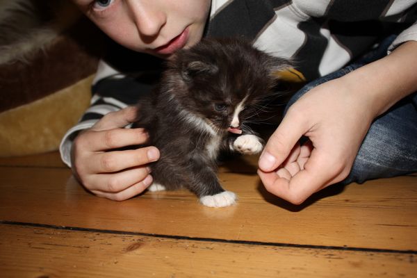 Undercover-Coon´s Gladys Bild 18