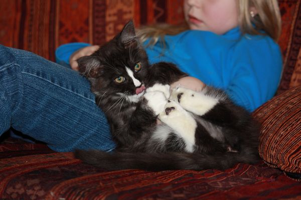 Undercover-Coon´s Gladys Bild 65