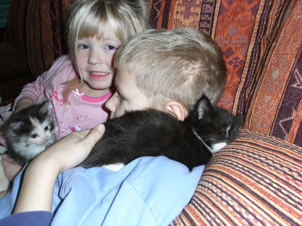 Kinderstube: Gruppenkuscheln Bild 7
