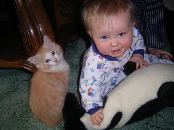 Kinderstube: Baby Kim und Angelo Bild 11
